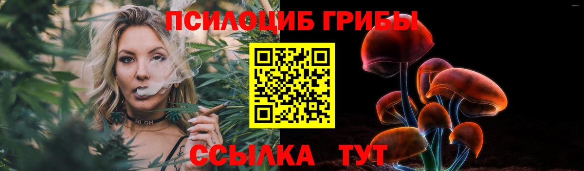 Псилоцибиновые грибы Cubensis Горячий Ключ